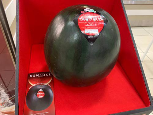 Danuki Watermelon: Hokkaido's Exclusive Gem