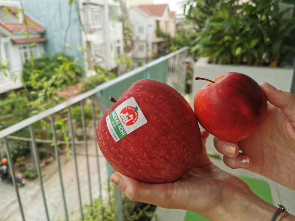 Sakai Ichi Apples: World's Largest Apples