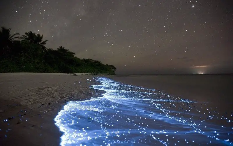 Vaadhoo Beach, Maldives