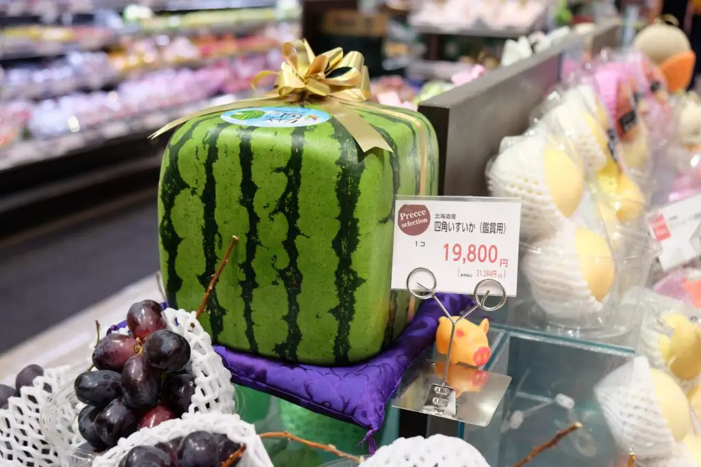  Square Watermelons is Most expensive Watermelons 