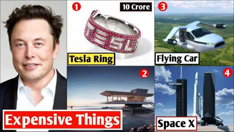 Top 10 Most Expensive Things Elon Musk Owns in 2024