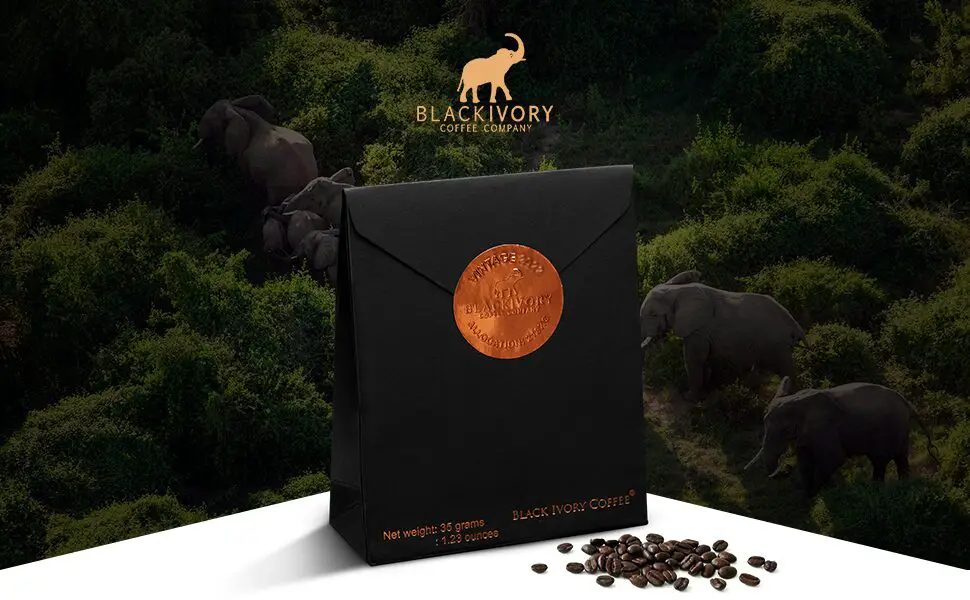 Black Ivory Coffee is most expensive coffee in the world